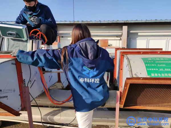 武汉油烟检测 饭店油烟净化器检测